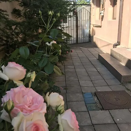 Center By Acme Rent Guest house 2*