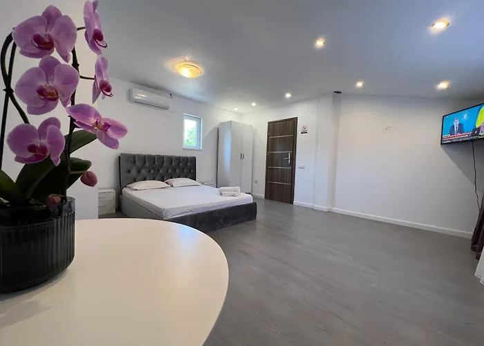 Center By Acme Rent 부쿠레슈티