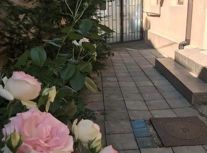 Center By Acme Rent Pensión 4*