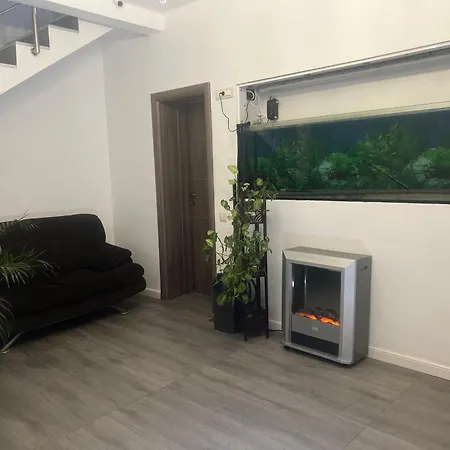 Center By Acme Rent Pensionat Bukarest