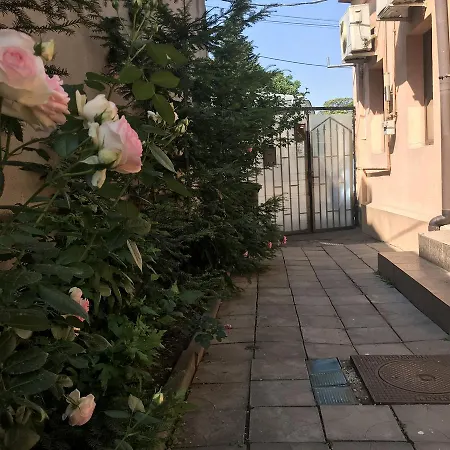 Center By Acme Rent 4*