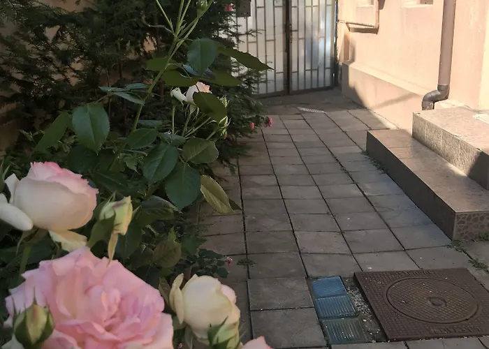 Center By Acme Rent Bukarest